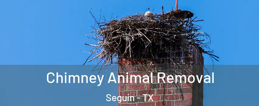  Chimney Animal Removal Seguin - TX