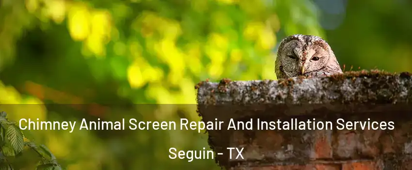  Chimney Animal Screen Repair And Installation Services Seguin - TX