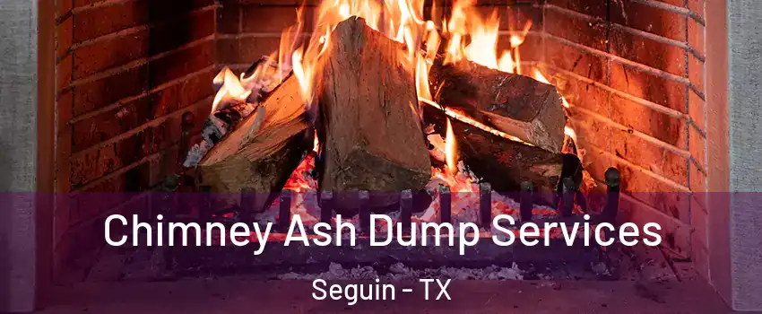 Chimney Ash Dump Services Seguin - TX