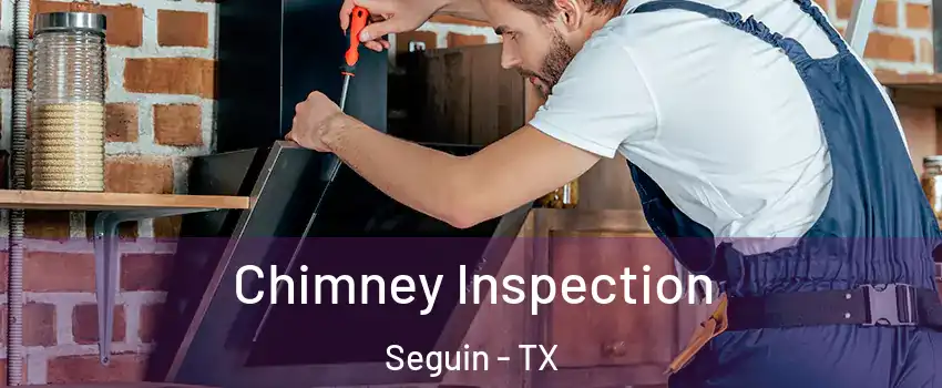  Chimney Inspection Seguin - TX