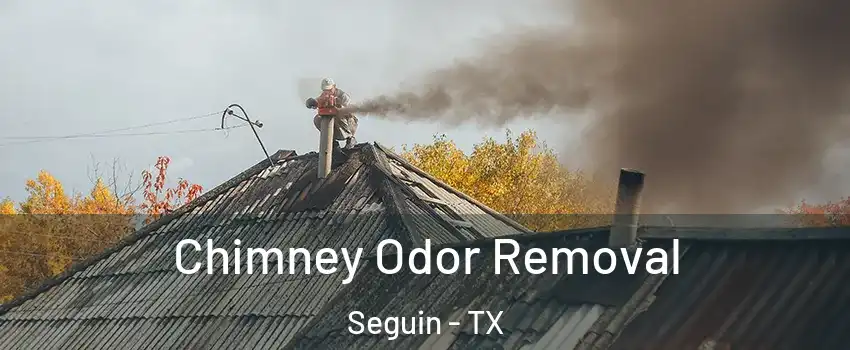  Chimney Odor Removal Seguin - TX