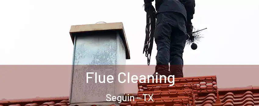  Flue Cleaning Seguin - TX