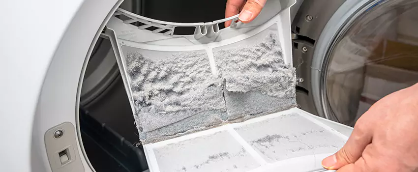 Best Dryer Lint Removal Company in Seguin, Texas