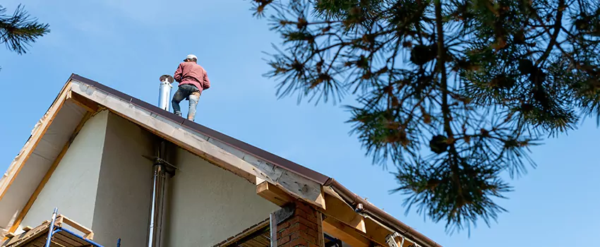 Birds Removal Contractors from Chimney in Seguin, TX