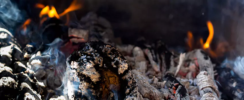 Creosote Removal Experts in Seguin, TX