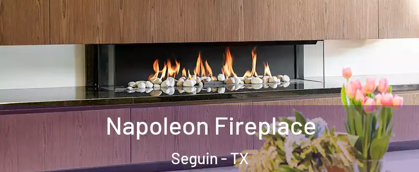  Napoleon Fireplace Seguin - TX